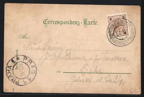 Lithographie Linz, Ortsansicht, Pöstlingberg, Franz-Josef Platz