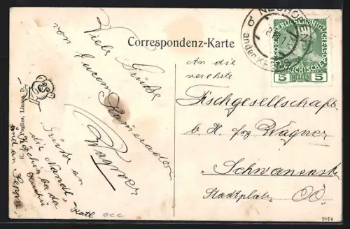 AK Neuhofen a. d. Krems, Totalansicht, Oberösterreicherin