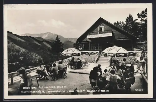 AK Pernitz /N.-Oe., Gasthaus und Jausenstation Am Hals mit Blick gegen Schneeberg