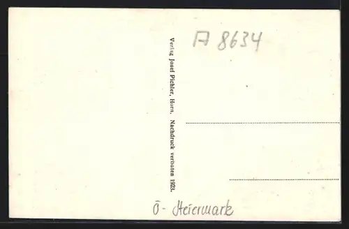 AK Mariazell, Wegscheid, Kirche, Uferpartie, Ortspartie