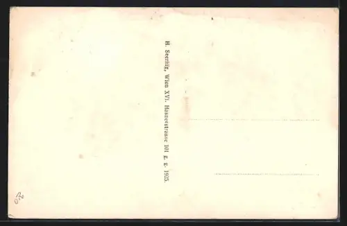 AK Wien, Rainerspital mit Schrebergärten