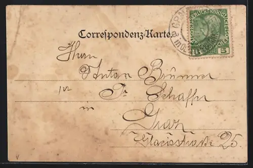 AK Grafendorf /Oststeiermark, Totalansicht mit Umgebung