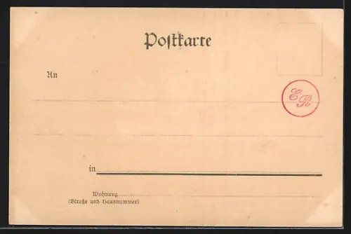 AK Oldenburg / O., Kirchhofslinde