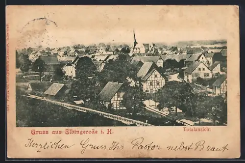 AK Elbingerode i. H., Totalansicht mit Strassenpartie