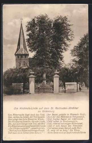 AK Oldenburg / O., Kirchhofs-Linde auf dem St. Gertruden-Kirchhof