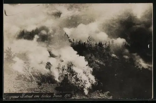 AK Grosser Brand im hohen Venn 1911