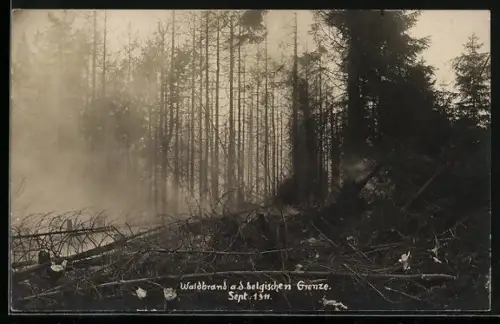 AK Waldbrand an der belgischen Grenze 1911
