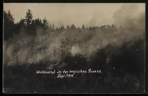 AK Waldbrand an der belgischen Grenze 1911