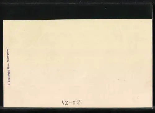 AK Original Steir. Tänze, Netztanz, Volkstanz