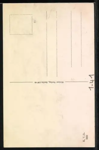 AK Goethe, Portrait im fortgeschrittenen Alter