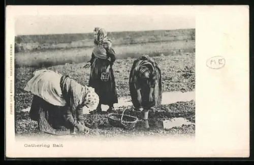AK Gathering Bait, Krebsfischer
