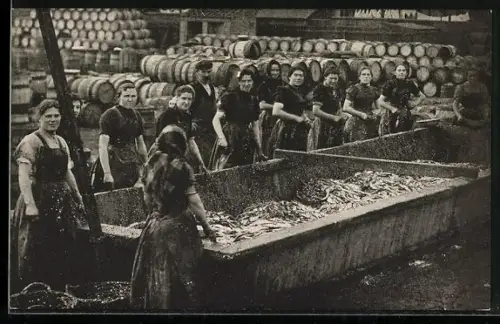 AK Scotch Girls at Work, Fischerei