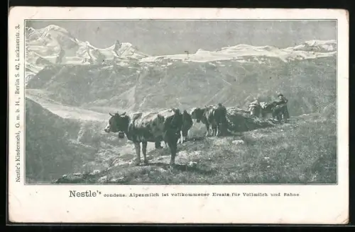 AK Kühe auf der Weide im Gebirge, Reklame für Nestle's Alpenmilch