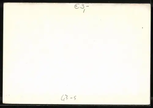 AK Prinzenpaar Geraldine und Walter, Fasching