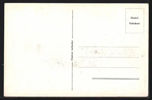 AK Rotterdam, Coolsingel, Strassenbahn