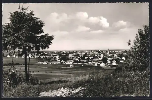 AK Langenaltheim /Mittelfr., Ortsansicht mit Panorama