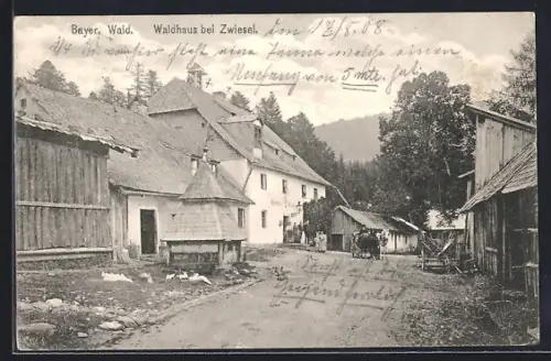 AK Waldhaus / Bayr. Wald, Ortsansicht mit Gasthaus