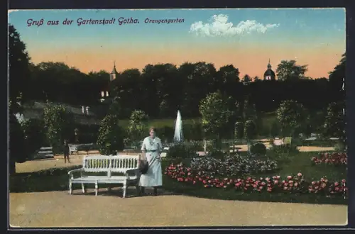 AK Gotha, Partie am sommerlichen Orangengarten