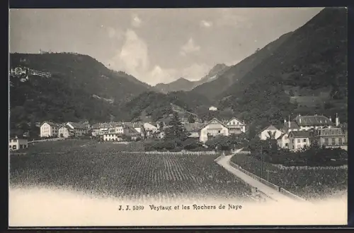AK Veytaux, Ortsansicht, Rochers de Naye