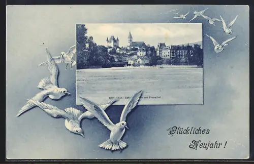 AK Thun, Panorama mit Thunerhof vom Wasser aus, Vögel, Neujahrsgruss