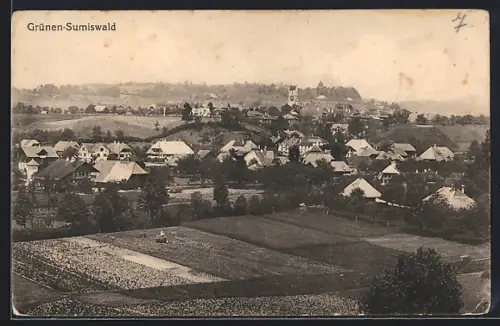AK Grünen-Sumiswald, Ortsansicht