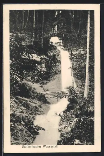 AK Sankenbacher Wasserfall, mit Brücke, Wasserfall