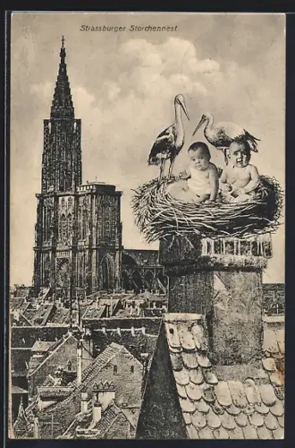 AK Strassburg, Strassburger Münster mit kollagiertem Storchennest und Neugeborenen