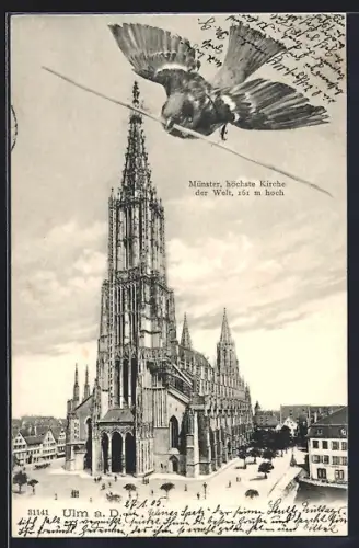 AK Ulm a. D., Münster mit Vorplatz
