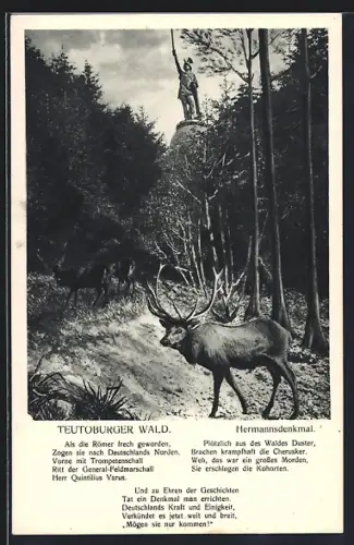 AK Teutoburger Wald, Hermannsdenkmal und Waldbewohner