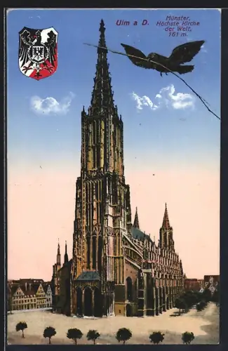AK Ulm a. D., Spatz über dem Münster