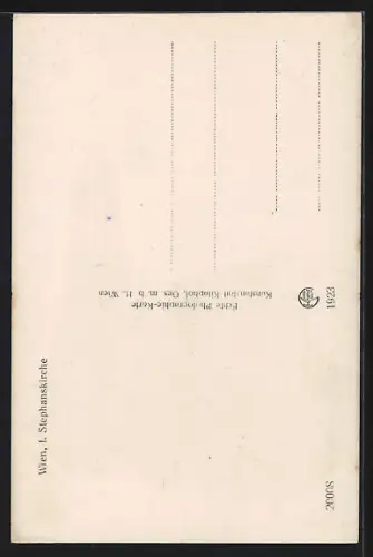 AK Wien, Stephanskirche, Westansicht