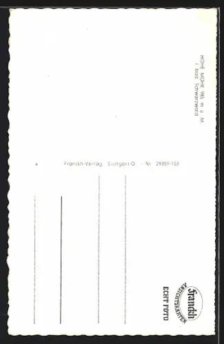 AK Hohe Möhr i. bad. Schwarzwald, Ansicht vom Hohe-Möhr-Turm