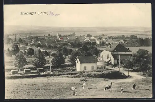 AK Habudingen i. L., Panorama