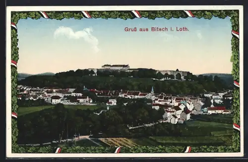 AK Bitsch i. Loth., Panorama mit Strassenpartie