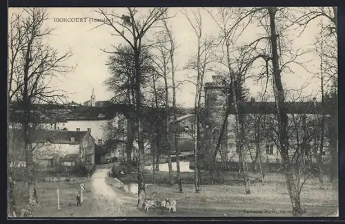AK Bioncourt /Lorraine, Panorama mit Strassenpartie