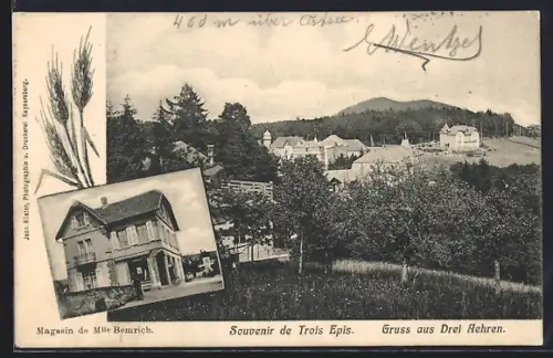 AK Drei Aehren, Geschäft, Panorama