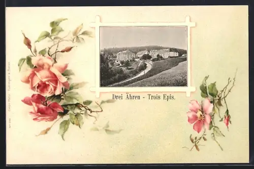 AK Freising, Totalansicht