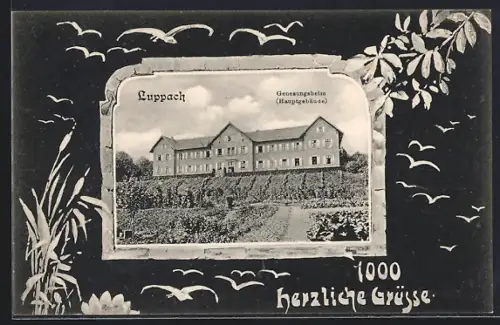 AK Luppach, Genesungsheim, Hauptgebäude, Vögel im Flug, Passepartout
