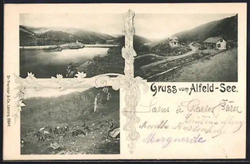 AK Alfeld-See, Ziegen grasen vor dem Wasserfall, Gebäudeansicht, Seeblick