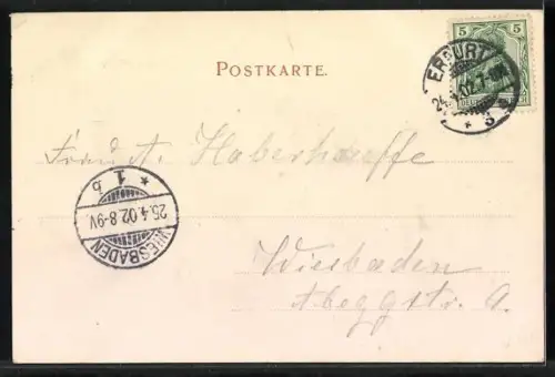 AK Erfurt, Blick zum Wenigemarkt