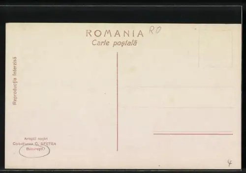 AK Bucuresti, Constituanta1866