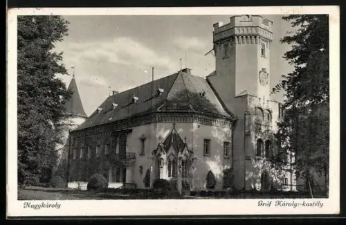 AK Nagykároly, Gróf Károlyi-kastély