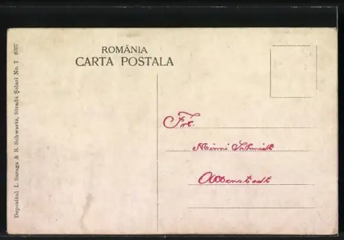 AK Sinaia, Casteluil Pelisor