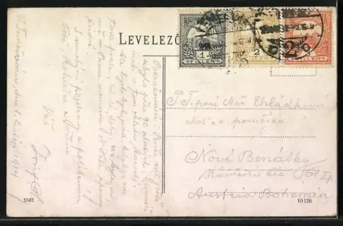 AK Temesvár, Kegyesrendi fögimnazium