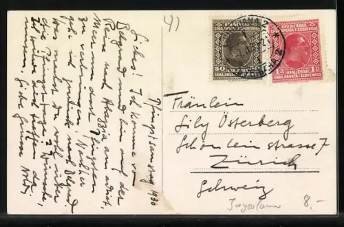 AK Ljubljana / Laibach, Razgled z grada