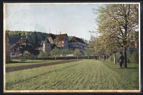 AK Bebenhausen, Südostpartie vom Feld aus
