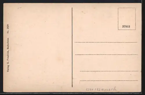 AK Budenheim a. Rh., Totalansicht, Partie am Rhein