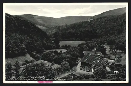 AK Waldkatzenbach i. Odenw., Unterer Höllgrund / Antonslust mit Blick in den Reisengrund