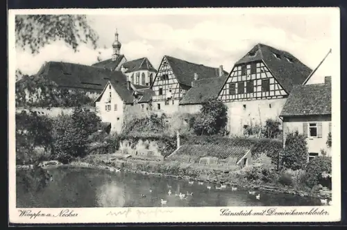 AK Wimpfen a. Neckar, Gänseteich mit Dominikanerkloster