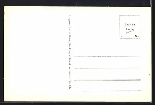 AK Den Haag, Brug Loosduinsekade en Zuiderparklaan, Strassenbahn